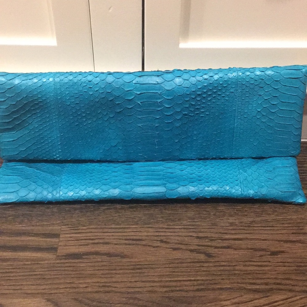 Turquoise snake pattern clutch